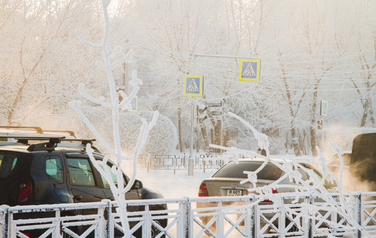 Морозы Юлия Ушакова, ИА IrkutskMedia