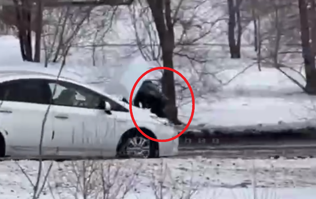 Скриншот тг-канал &quot chernosliv18&quot (18+)