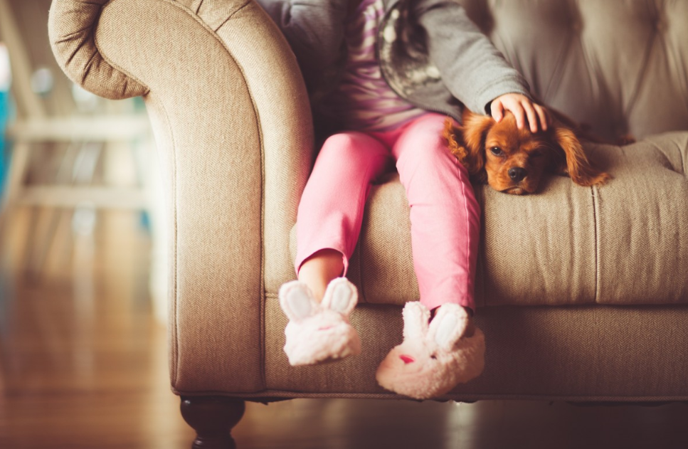 Тематическое фото pxhere.com