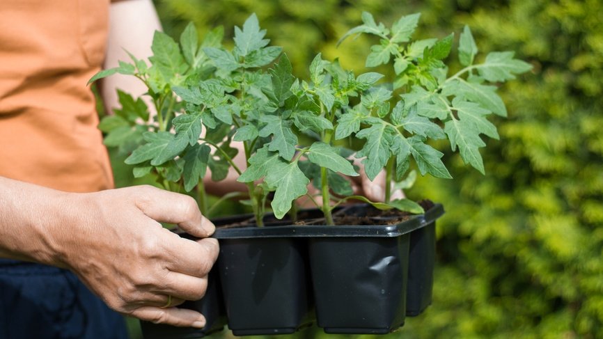 Тематическое фото Автор канала