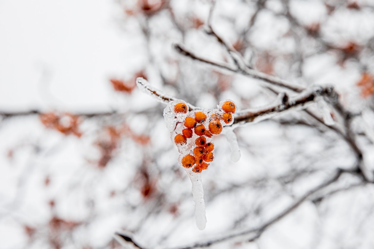 Гороскоп на 24 января: День способствует ясности и конкретным действиям Мария Смитюк, ИА PrimaMedia.ru