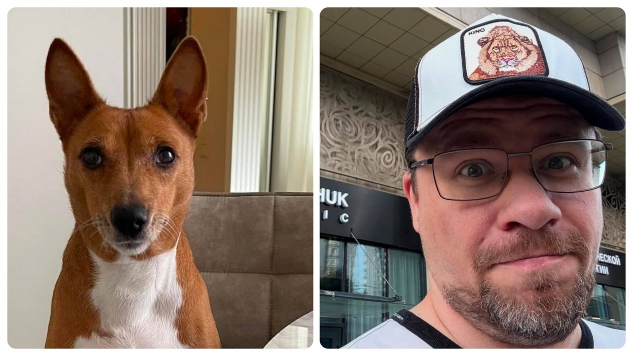 питомцы похожи на владельцев коллаж на основе фото из социальных сетей Гарика Харламова