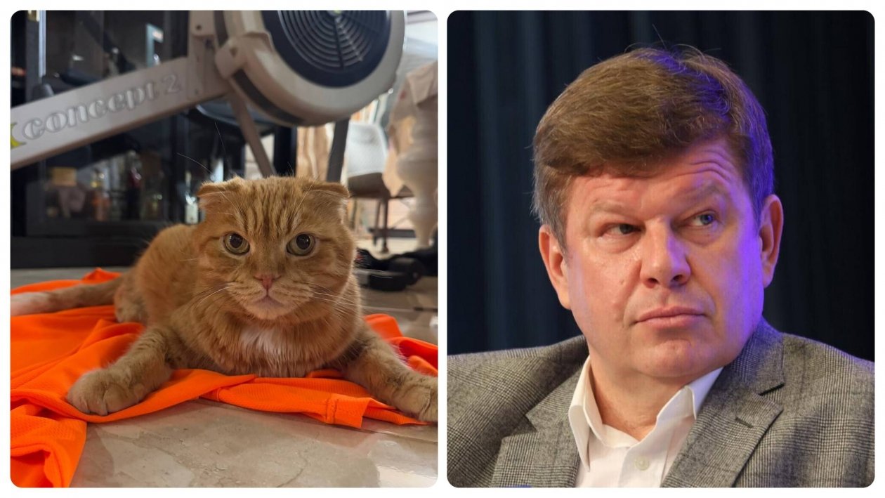 коллаж на основе фото из телеграм-канала Дмитрия Губерниева (18+)