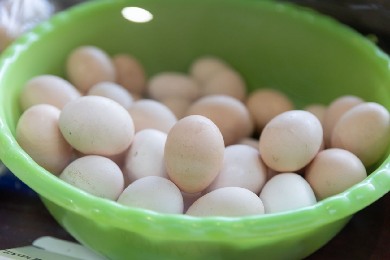 Яйца в Пятигорске, свинина в Будённовске: в каких городах Ставрополья дороже продукты ИА Stavropol.Media