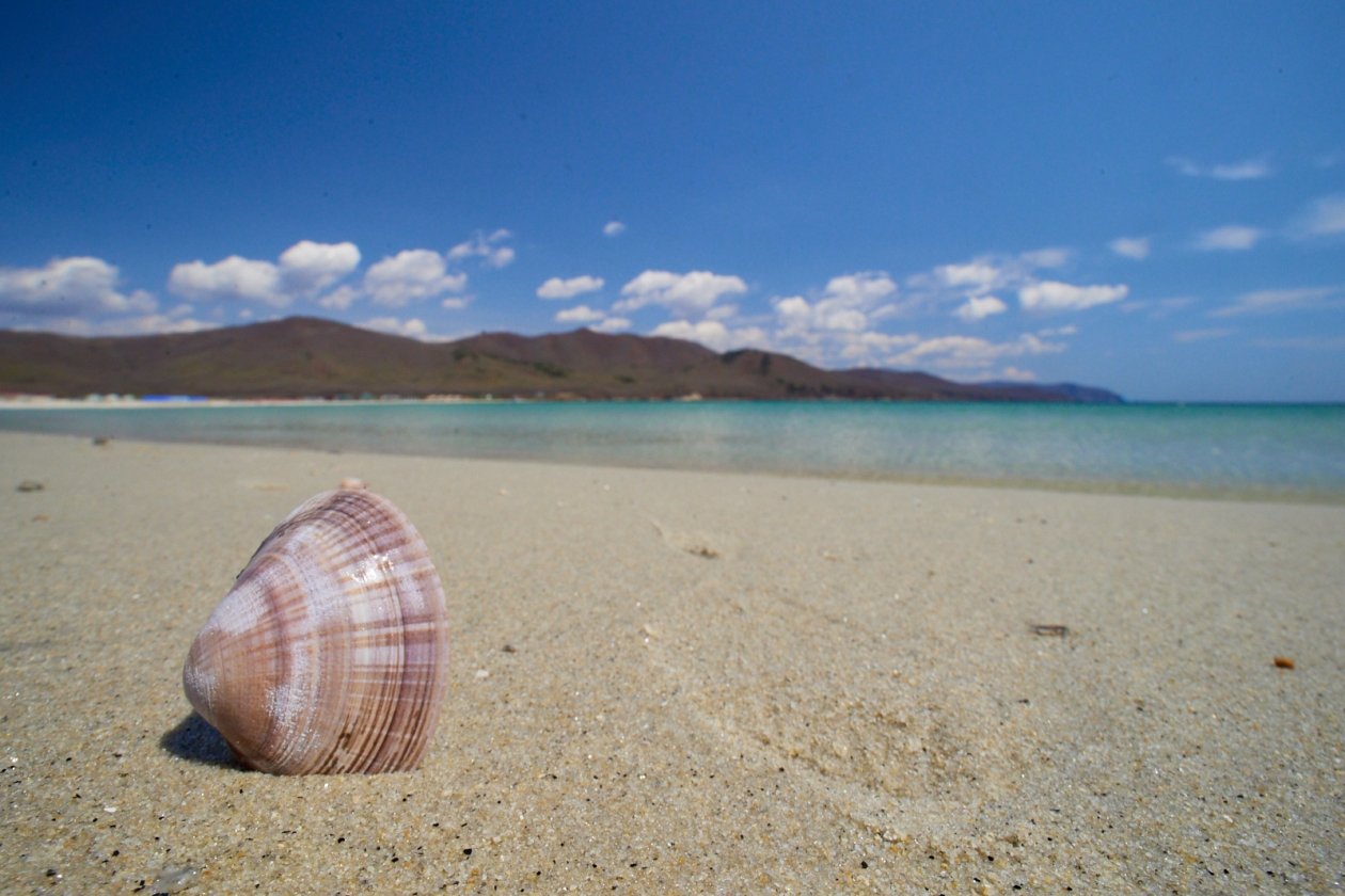 Вот где заграничный отдых в феврале доступен за копейки Дмитрий Осипчук, ИА PrimaMedia.ru