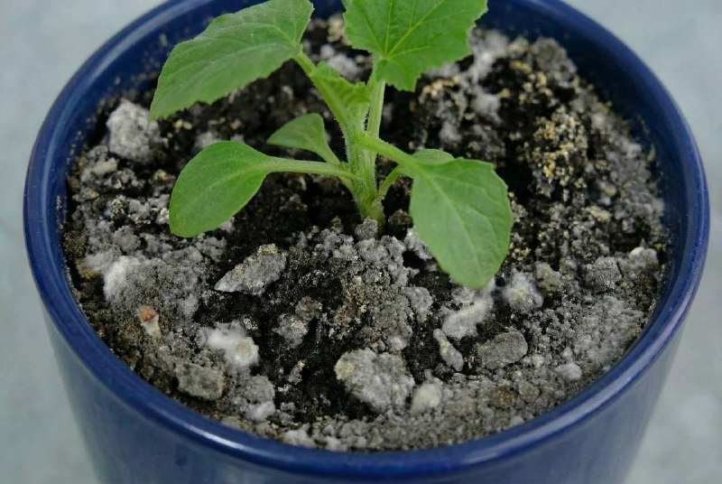 Тематическое фото ИИ Кандинский