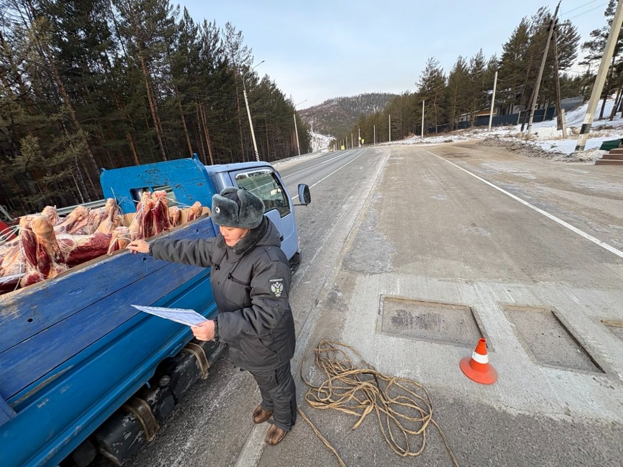 Перевозка мяса Управления Россельхознадзора по Забайкалью