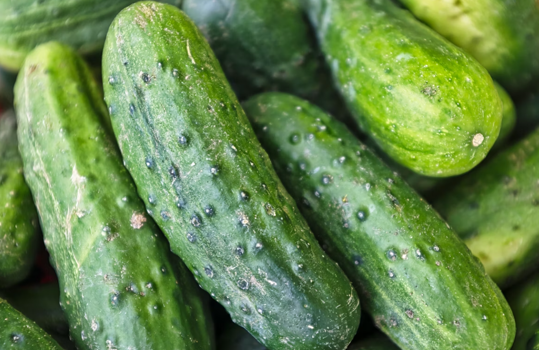 Тематическое фото unsplash.com