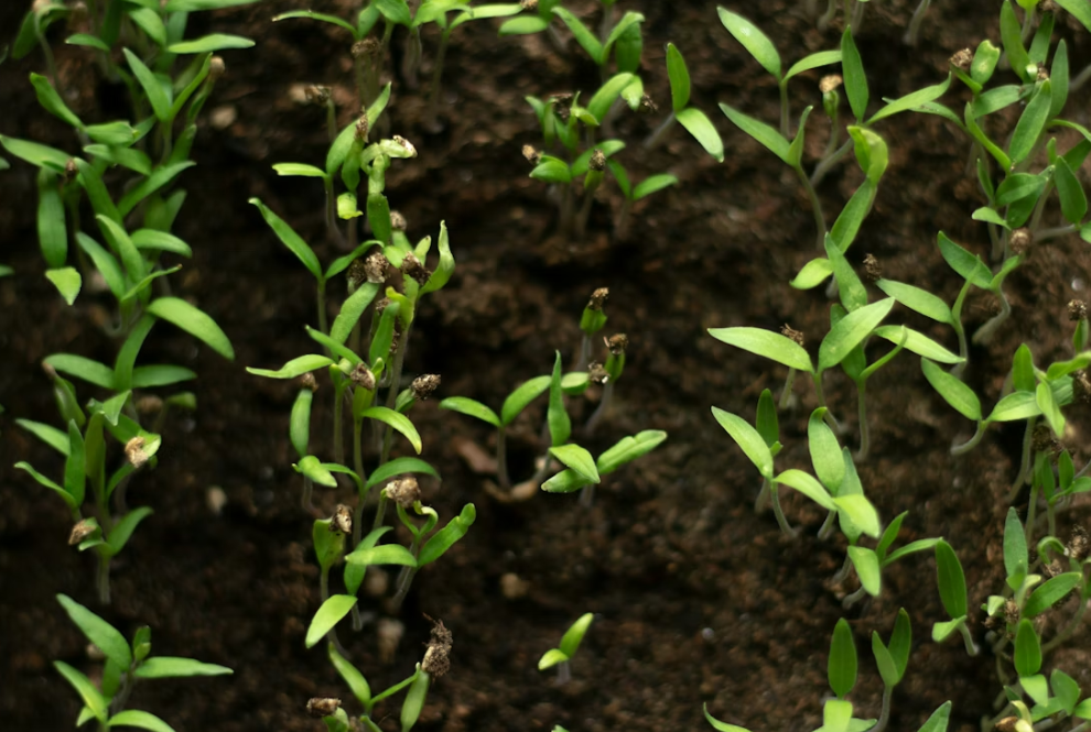 Тематическое фото Unsplash.com (18+)