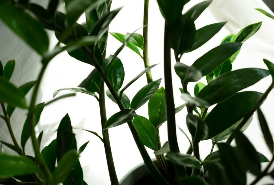 Тематическое фото unsplash.com