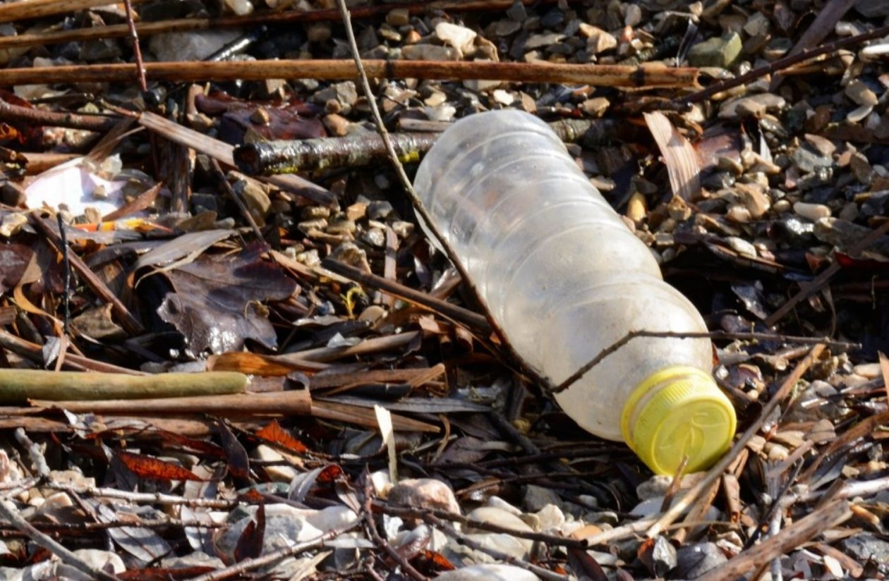 Тематическое фото pxhere.com