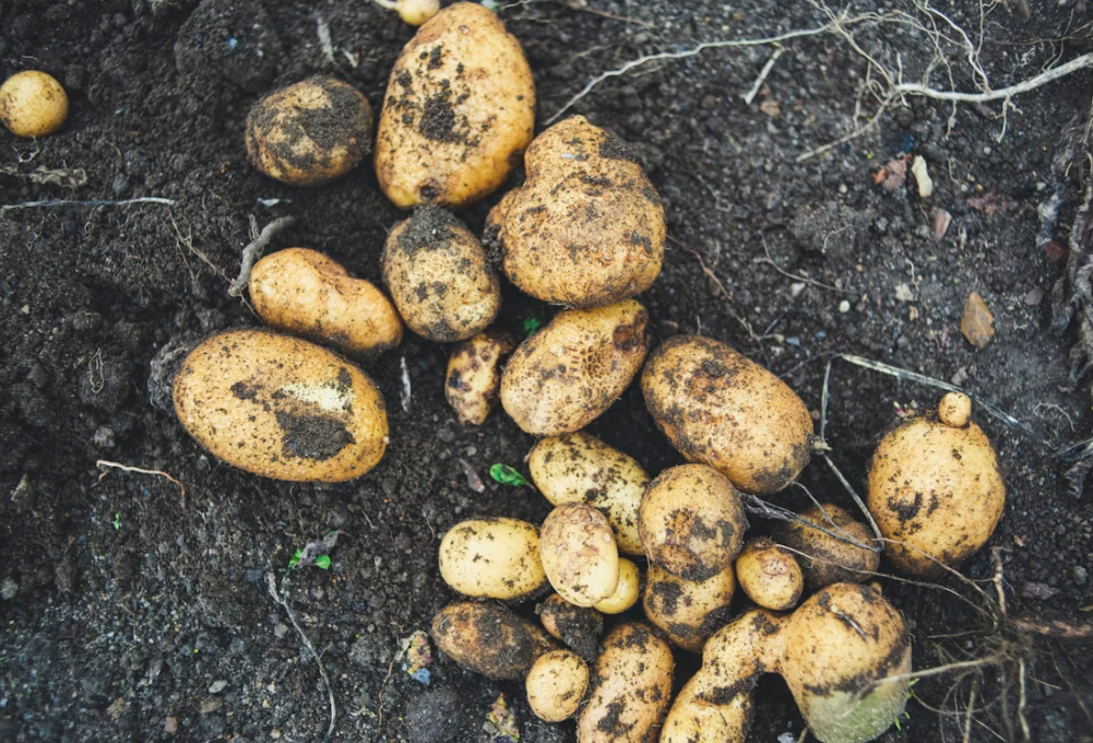 Тематическое фото Unsplash.com (18+)