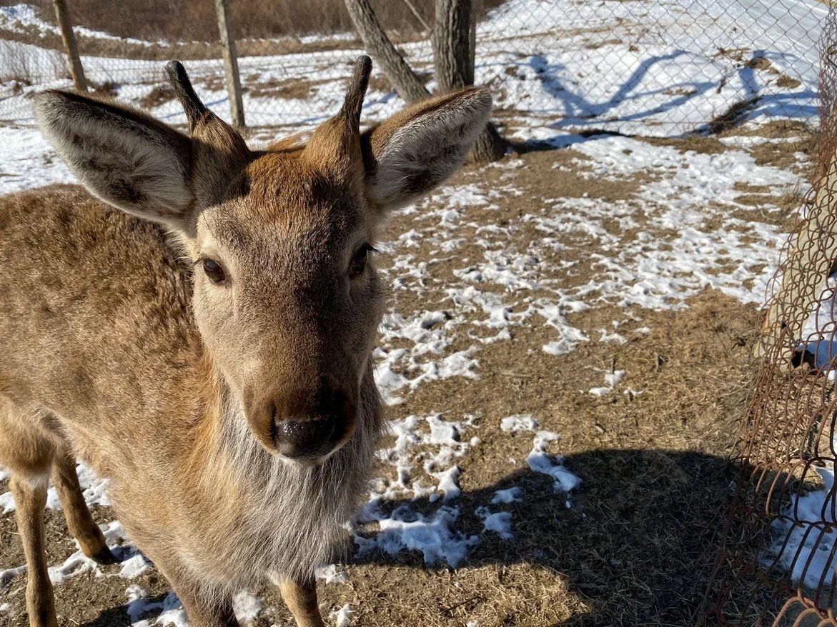 Какой красавчик! Анна Франц