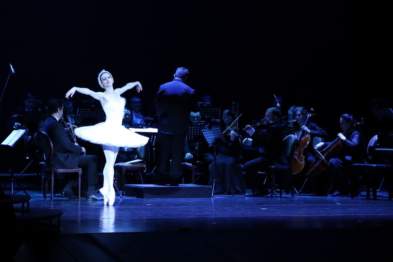 День артиста Олеся Дашкевич