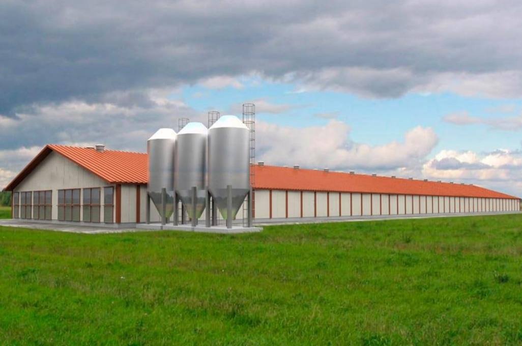 В Бурятии запустят современную линию по производству яиц пресс-служба правительства Бурятии