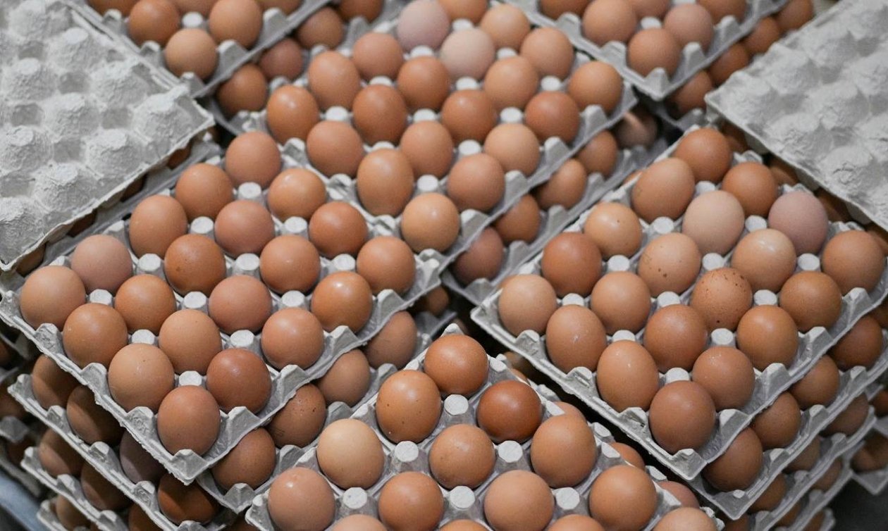 пресс-служба правительства Бурятии