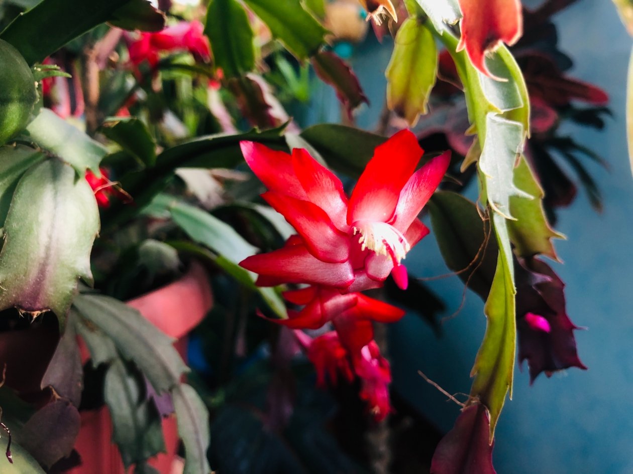 Тематическое фото Дюкарева Инна, ИА PrimaMedia