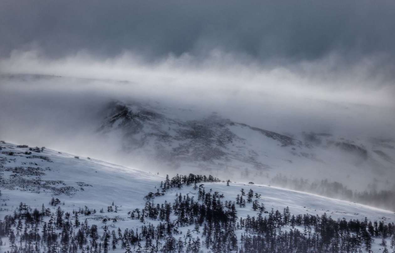 Тематическое фото Юлия Егорова