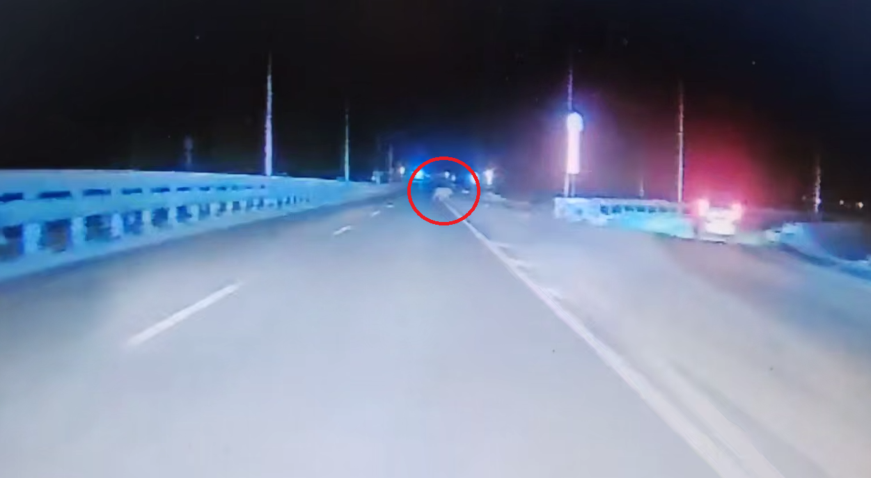 Скриншот из видео Видео очевидцев из telegram - канала svodka25