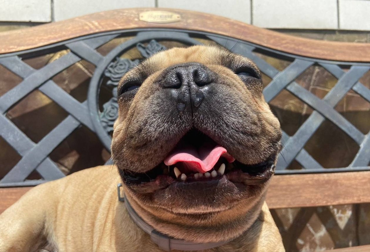 ИА Stavropol.Media