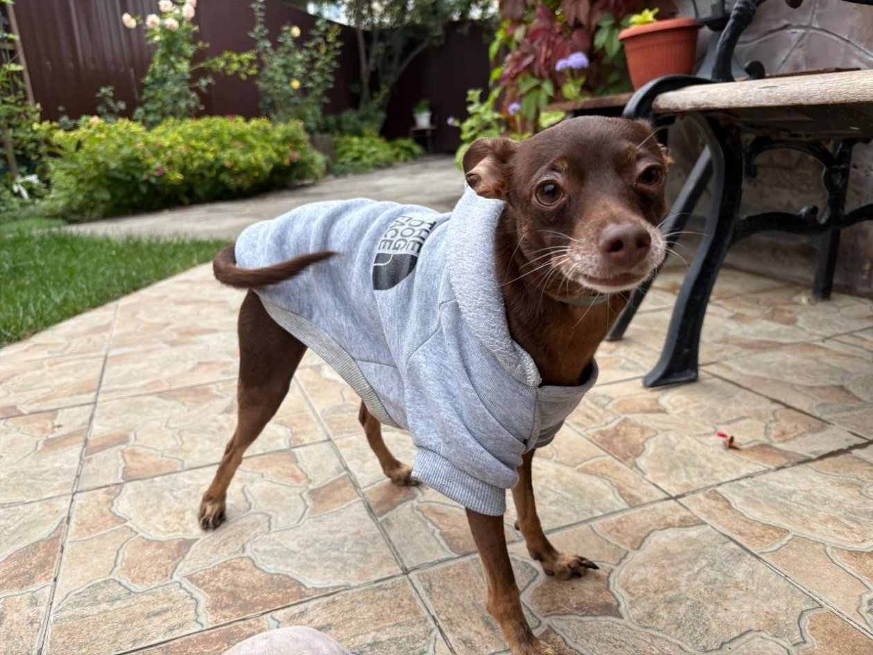 ИА Stavropol.Media