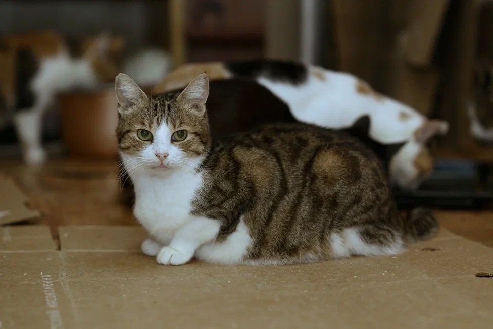 Из архива Е. Воиновой