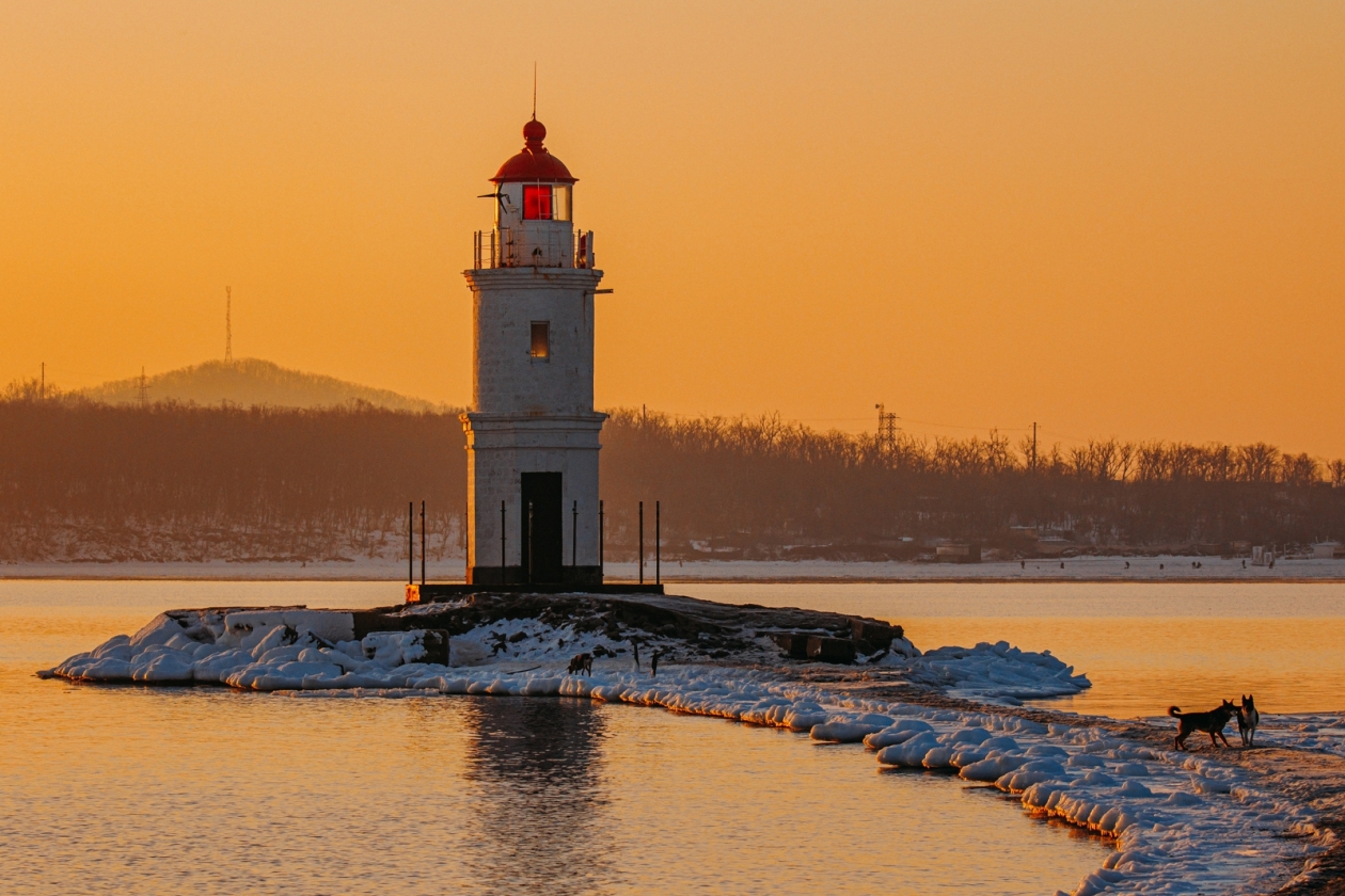Больше 100 фильмов о Приморье поступило на конкурс &quotДальний Восток – Земля приключений&quot Мария Смитюк, ИА PrimaMedia
