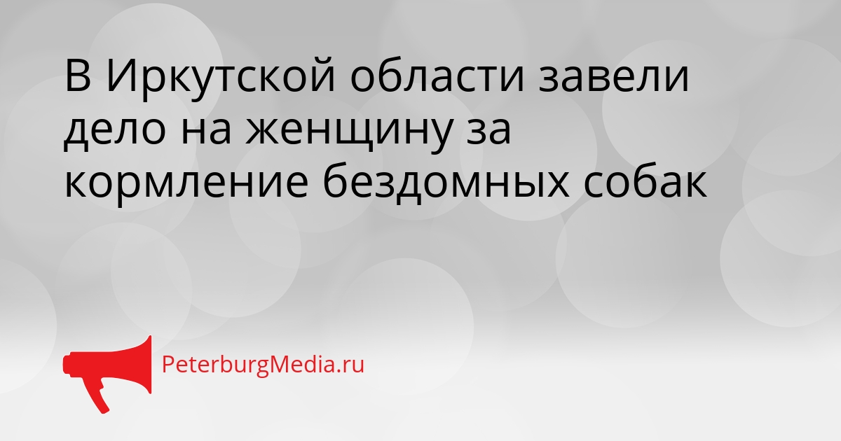 В Иркутской области завели дело на женщину за кормление бездомных собак Сгенерировано