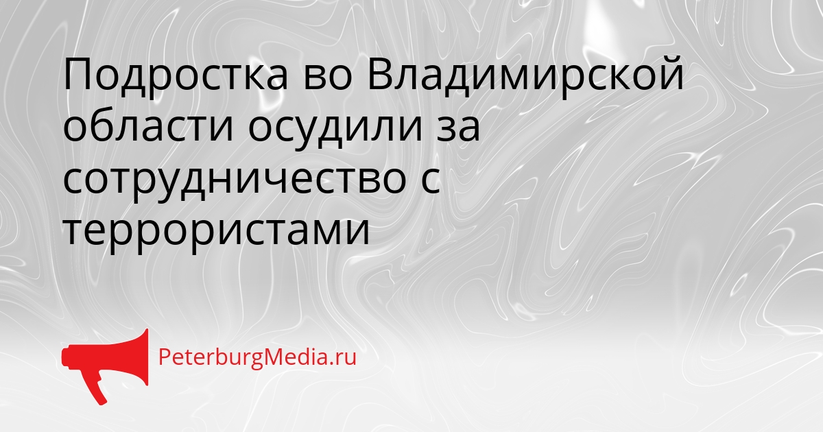 Подростка во Владимирской области осудили за сотрудничество с террористами Сгенерировано