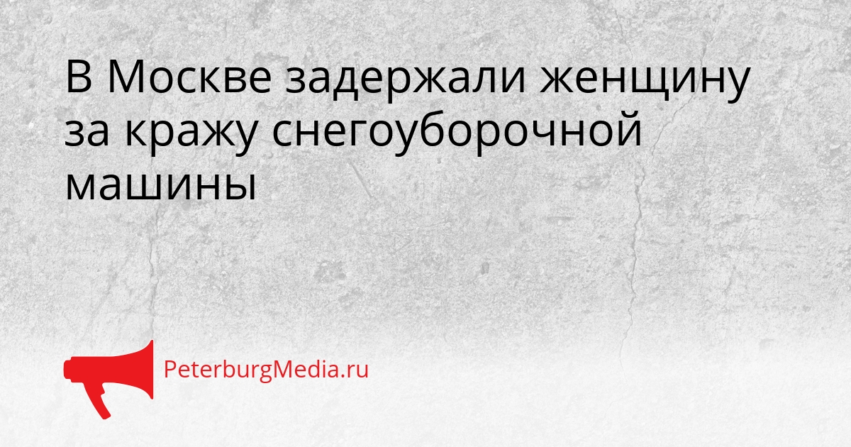 В Москве задержали женщину за кражу снегоуборочной машины Сгенерировано