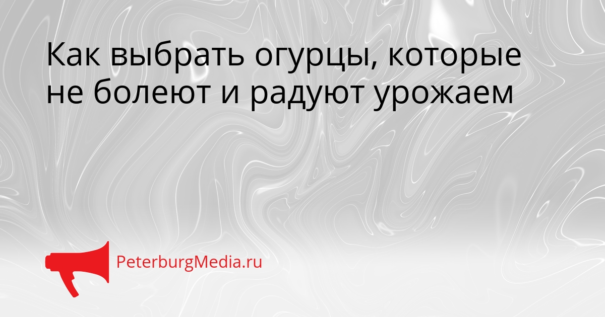 Как выбрать огурцы, которые не болеют и радуют урожаем Сгенерировано