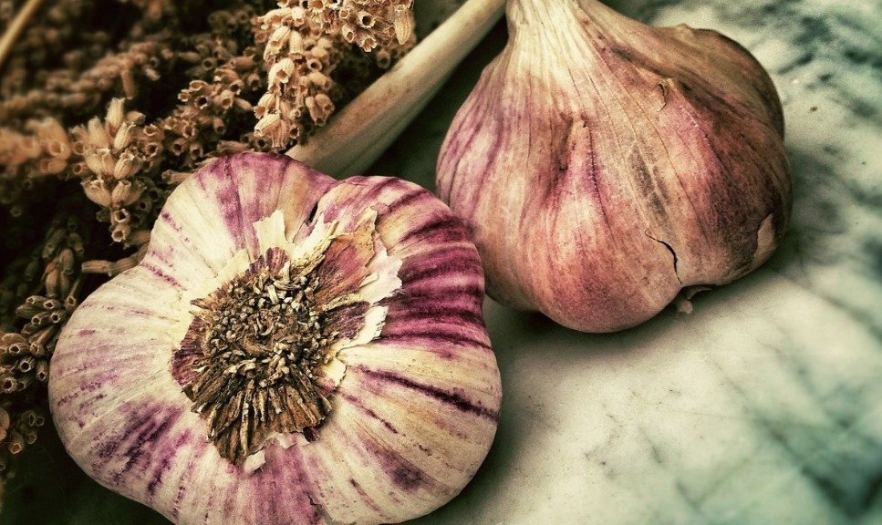 чеснок pxhere.com