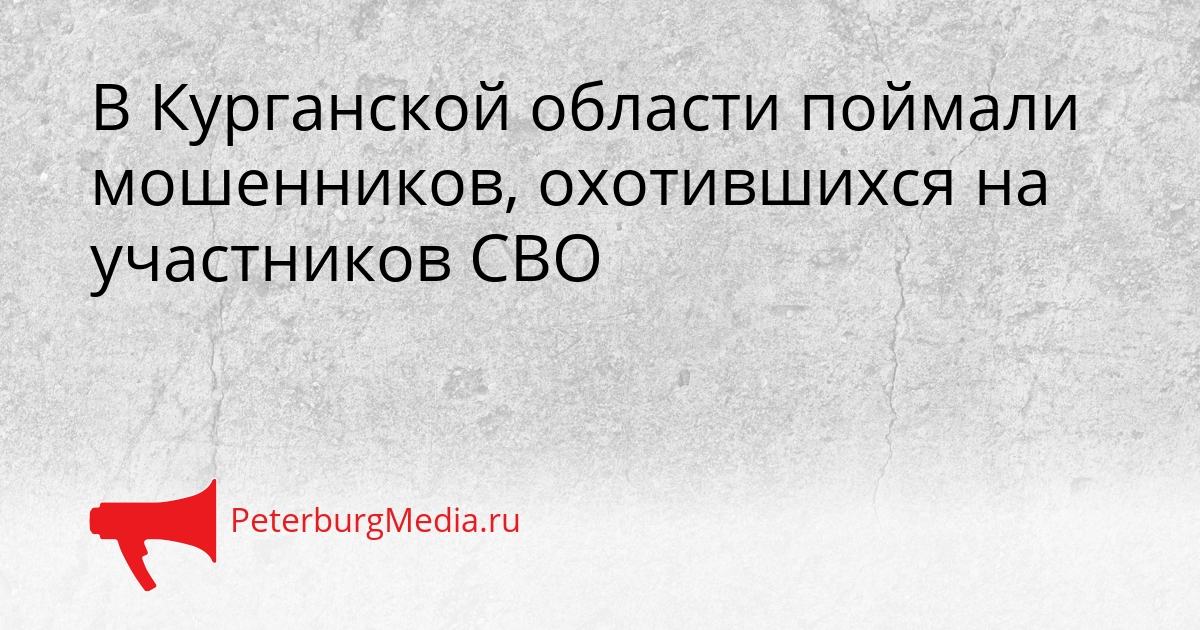 В Курганской области поймали мошенников, охотившихся на участников СВО Сгенерировано