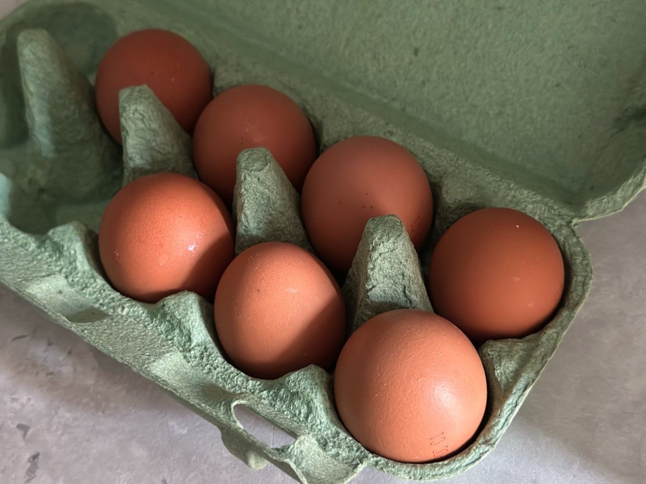 Тематическое фото ИА Stavropol.Media