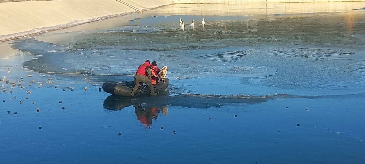 Соцсети М. Развожаева