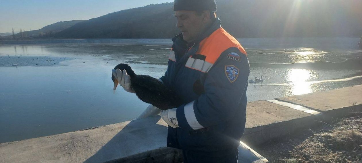 Спасатели пришли на помощь птицам Соцсети М. Развожаева