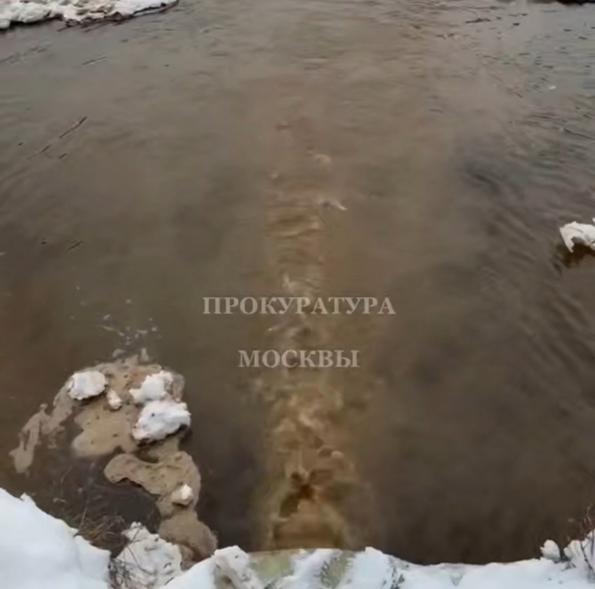 Прокуратура начала проверку из-за возможного загрязнения Москвы-реки скрин из видео t.me/moscowproc