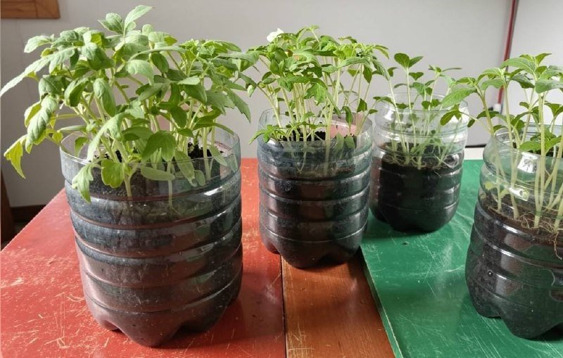 Тематическое фото ИИ Кандинский