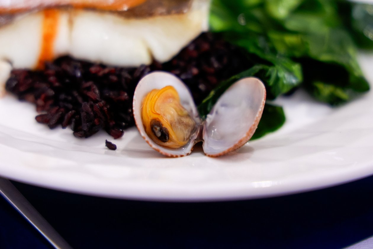 ракушка, спизула, песчанка, морепродукты, Евгений  Кулешов, ИА PrimaMedia.ru