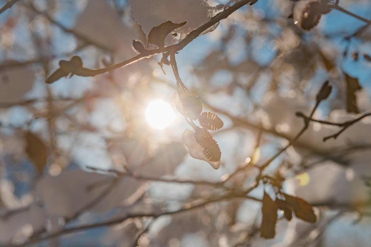 Тематическое фото Мэрия Магадана