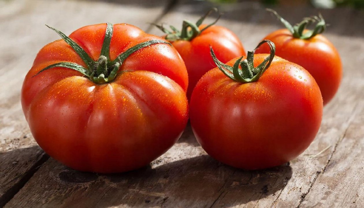 Изображение GigaChat (18+)