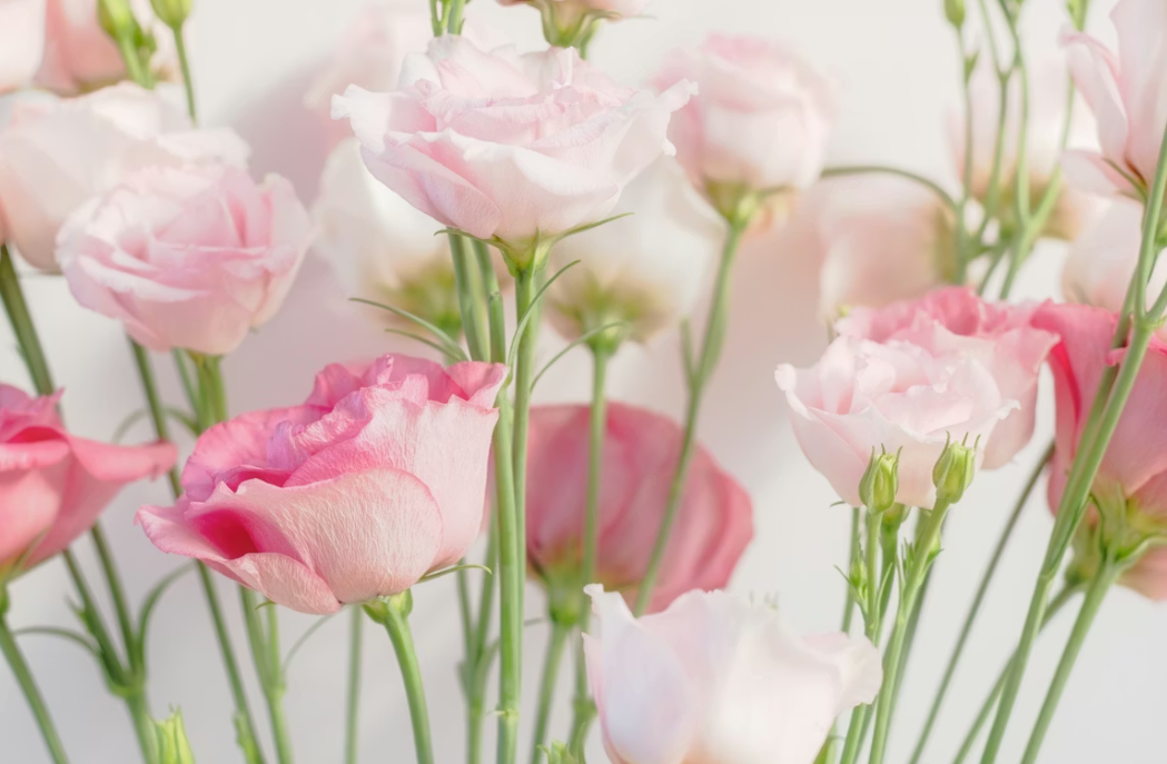 Тематическое фото unsplash.com