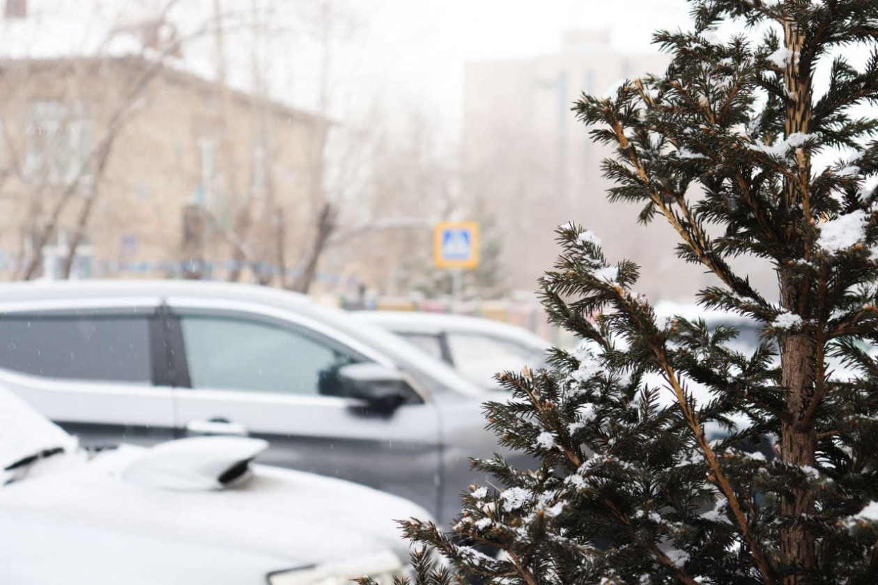 Тематическое фото ИА ChitaMedia Анастасия Москалёва