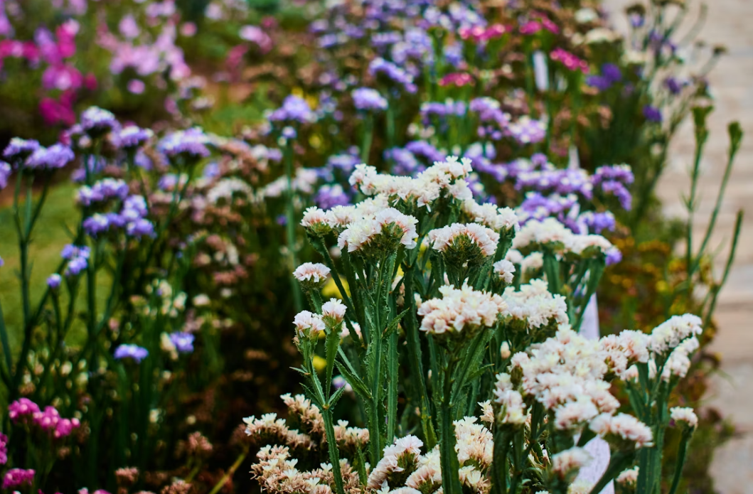 Тематическое фото unsplash.com