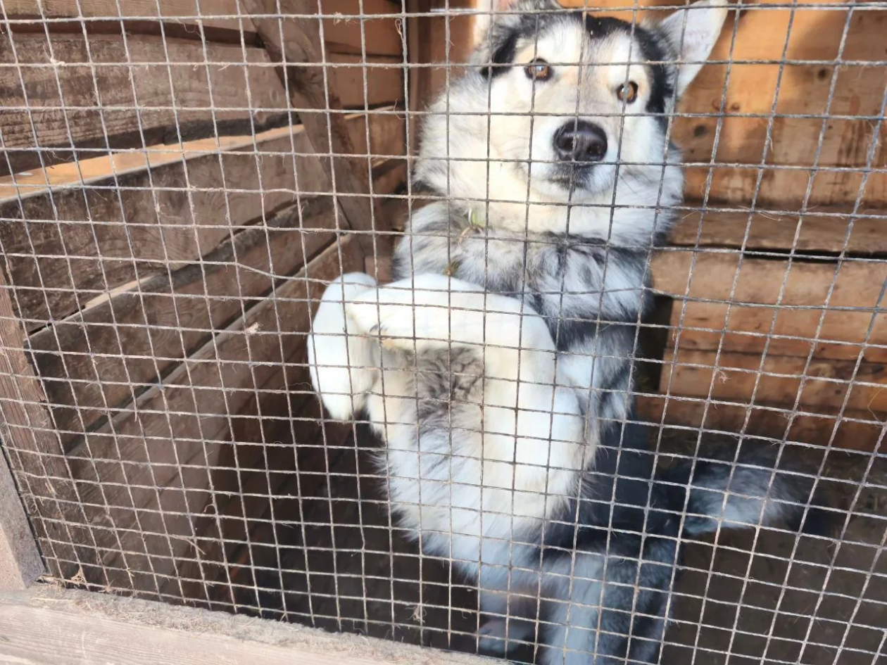 пресс-служба министерства туризма Сахалинской области