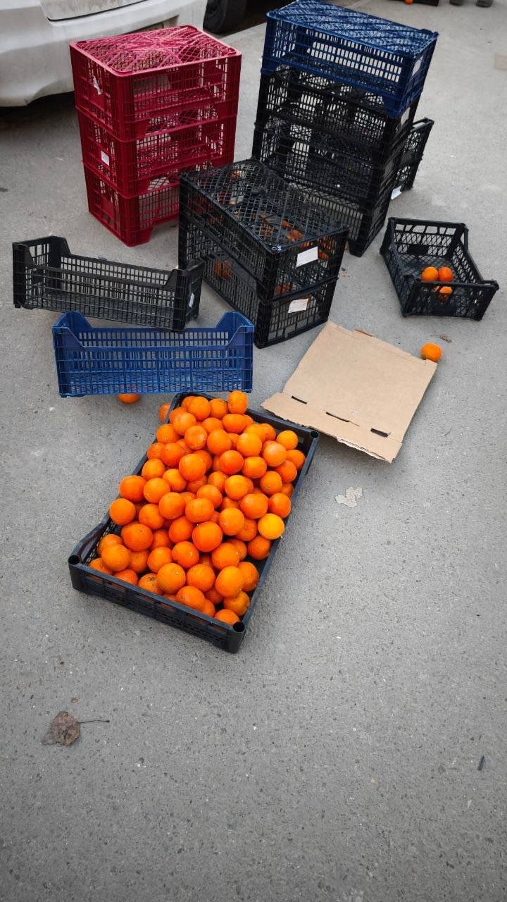 ДСХиПР Севастополя