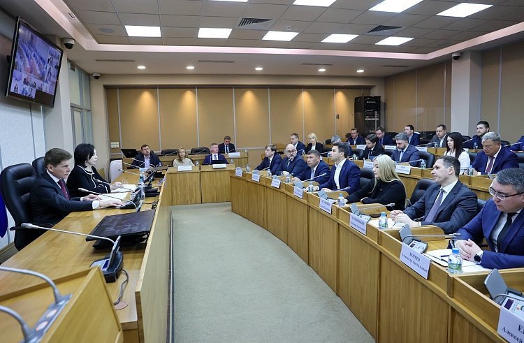 Парк отдыха на острове Русском получил статус приоритетного инвестиционного проекта Иван Дякин, правительство Приморского края