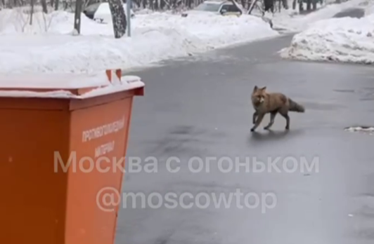 Тематическое фото Telegram / &quotМосква с огоньком&quot (18+)