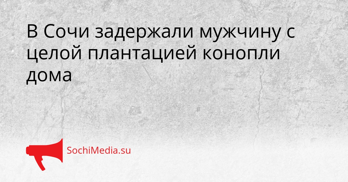 В Сочи задержали мужчину с целой плантацией конопли дома Сгенерировано