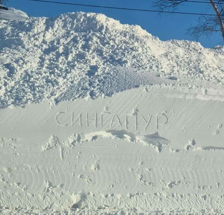 Соцсети (18+)